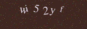 Validation image